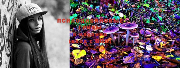 каннабис Нефтекумск